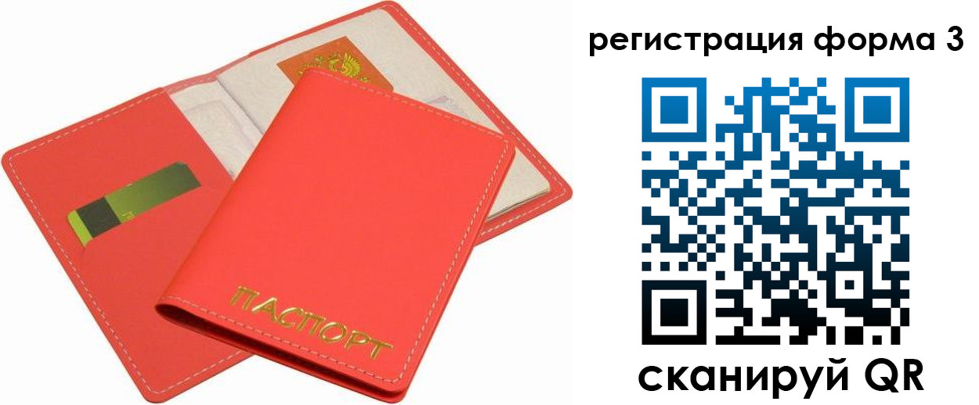 прописка для школы в Зверево